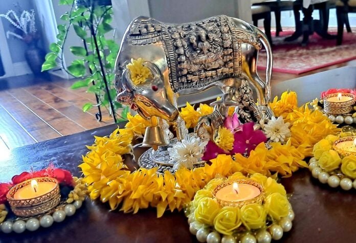 vasubaras diwali importance and diwali festival